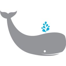 happy whale