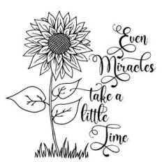 even miracles take a little time sunflower quote