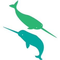 narwhal