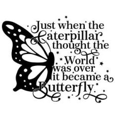 just when the caterpillar thought the world was over butterfly quote