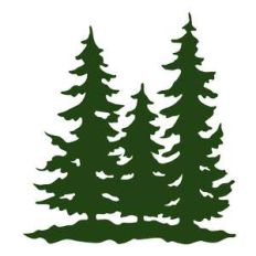 pine trees