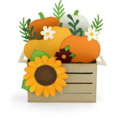 box card crate pumpkins
