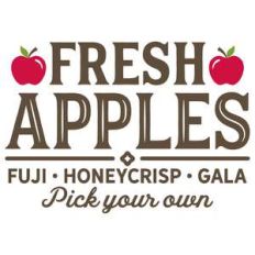 fresh apples