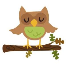 woodland owl