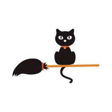 cat on broom