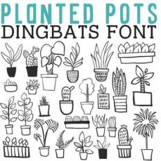 cg planted pots dingbats