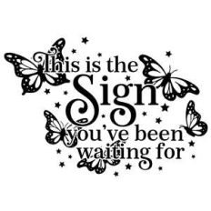 this is the sign you've been waiting for butterfly quote