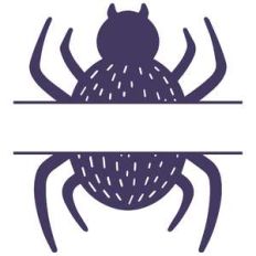 hairy spider split monogram frame