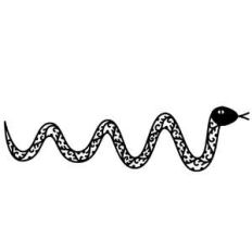 snake border