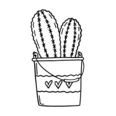 cactus in a bucket