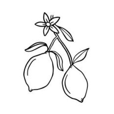 lemon with flower
