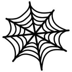 spider web
