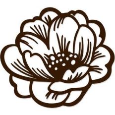 blooming flower