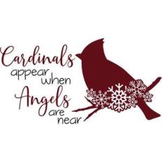 cardinals appear when angels are near
