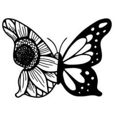 sunflower butterfly