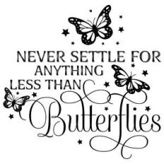 never settle for anything less than butterflies quote