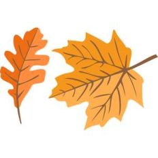 autumn leaves