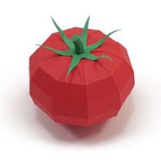 tomato