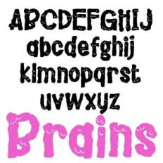 zp brains