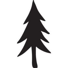 pine tree