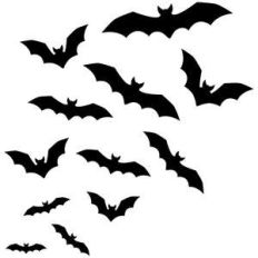 bats