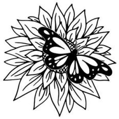 butterfly and sunflower