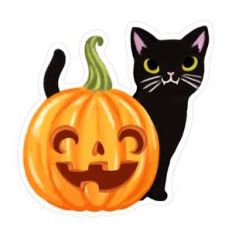 halloween cat and pumpkin
