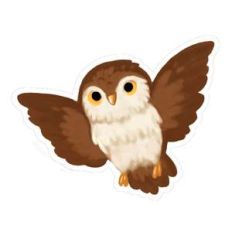 owl