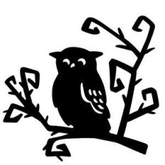 spooky owl