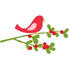 echo park holly, berries and bird