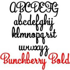 pn bunchberry bold