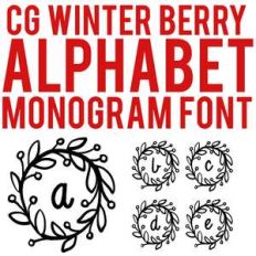 cg winter berry alphabet  monogram