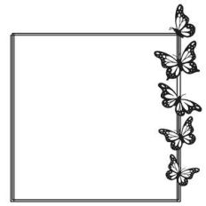 square butterfly frame