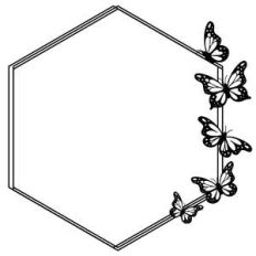 hexagon butterfly frame