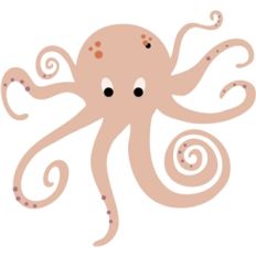 carta bella octopus