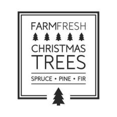 christmas trees frame