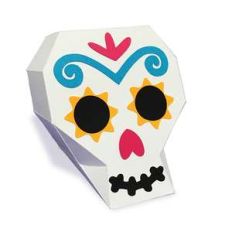 skull box