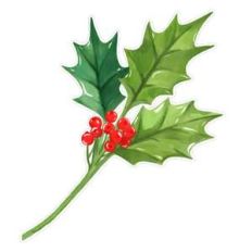 holly sprig watercolor
