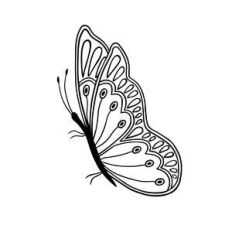 cute butterfly
