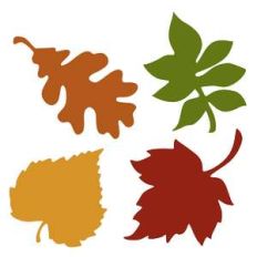 fall leaves