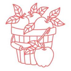 apple basket