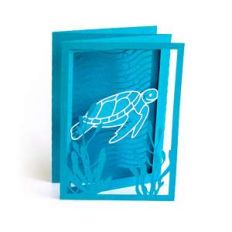 sea turtle card