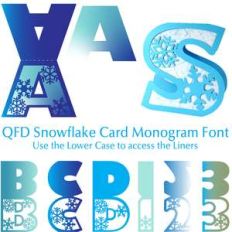 qfd snowflake card monogram font