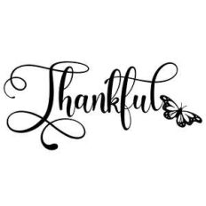 thankful butterfly word
