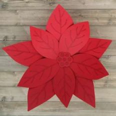 poinsettia flower