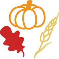 thanksgiving set