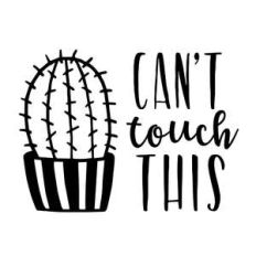 can't touch this cactus