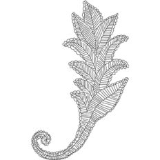 leaf sketch