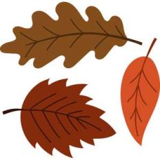 leaf cluster