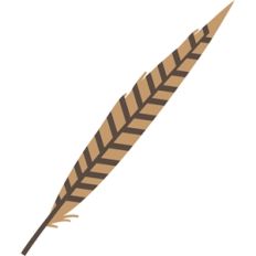 pheasant feather